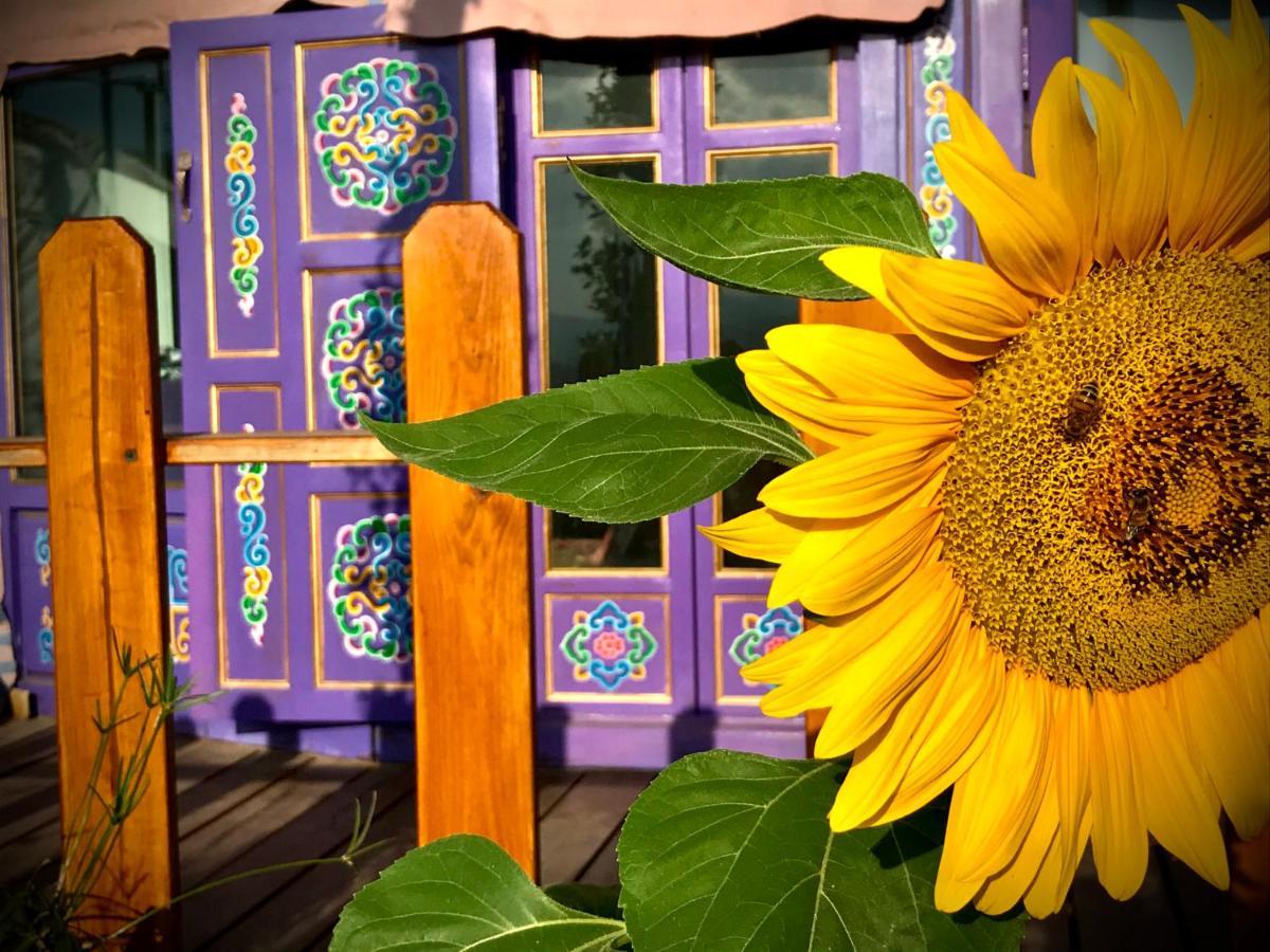 Exclusive Nirvana Yurts Glamping *